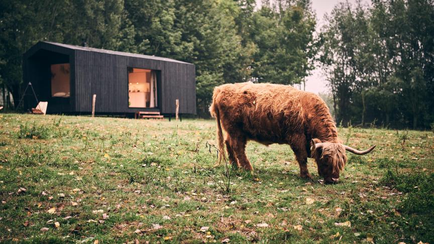 Op verschillende plaatsen in Europa worden meer en meer Slow Cabins geplaatst.