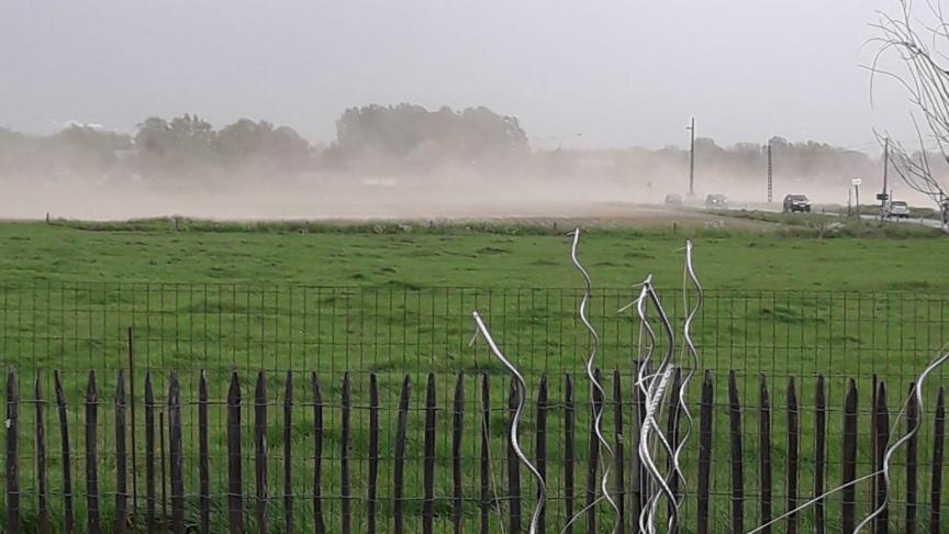 Diverse regio’s kregen rond 21 mei te maken met windschade in gewassen.