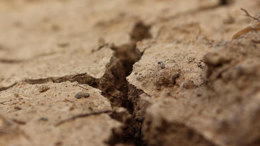 In het kader van klimaatverandering wint bodemkwaliteit aan belang.