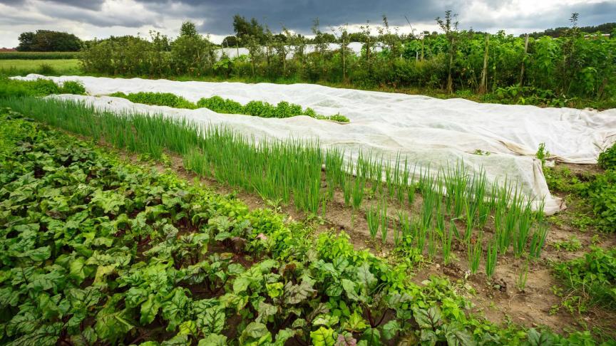 Volgens BioForum hebben we overal biodiversiteit nodig in ons landschap, niet alleen in natuur- of buffergebieden.