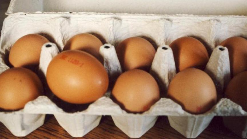 Wat dieren en dierlijke producten betreft, blijven de indexen stabiel, hoewel de prijsindex voor eieren met 8,2%.