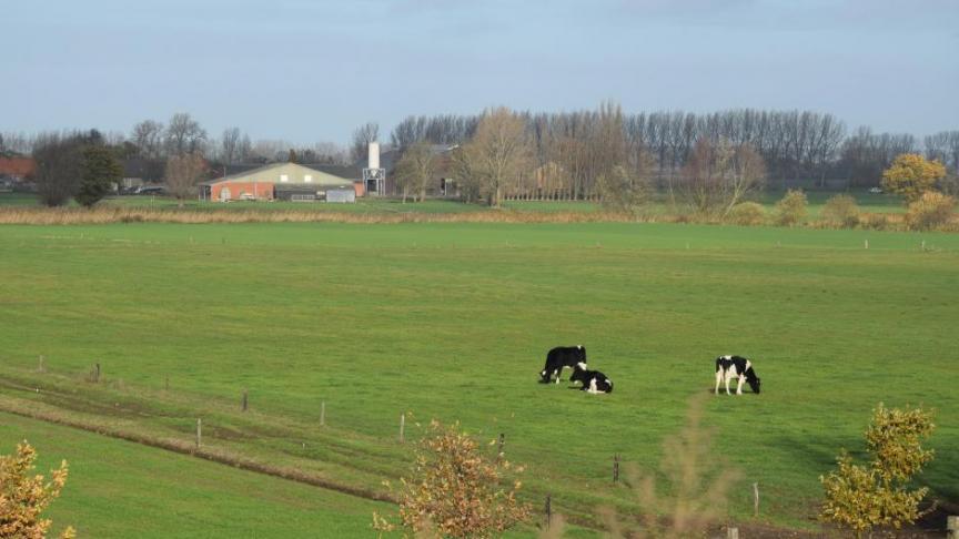 Welke natuurlijke en rechtspersonen in ons land krijgen GLB-landbouwsteun? De lijst van alle Belgische begunstigden is vrij te raadplegen op www.belpa.be en staat voor het subsidiejaar 2020 sinds eind mei online.