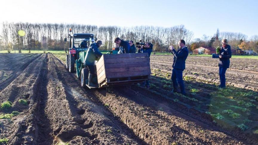 Eén van de opportuniteiten voor bio-economie is bijvoorbeeld Vlaamse rubber uit de rubberpaardenbloem. De wortel van de plant bevat ruim 10% natuurlijk rubber en ook nog eens 40% inuline voor de productie van bioplastics.