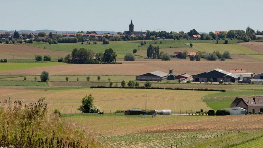 Samenwerking van alle actoren op het platteland is noodzakelijk om tot betere coherentie te komen.