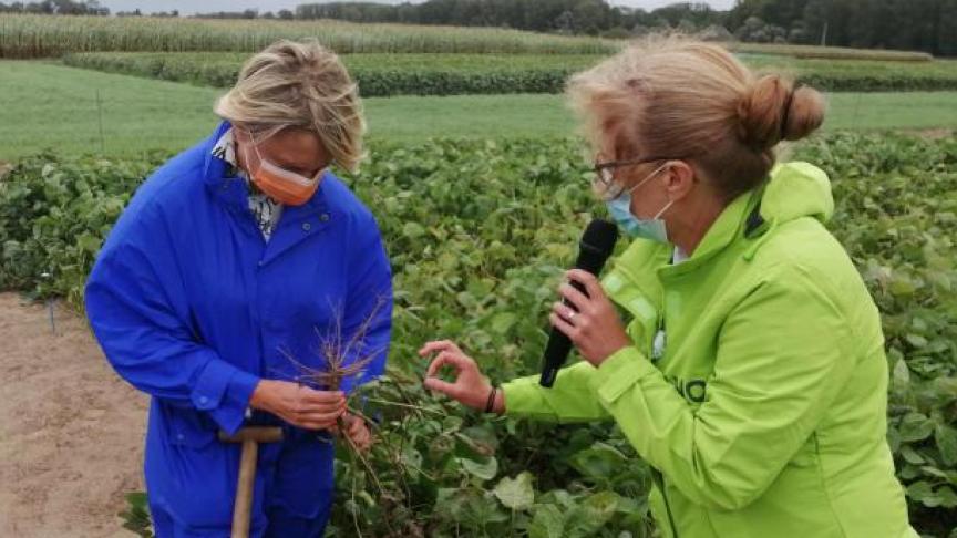 Vlaams landbouwminister Hilde Crevits zet meer middelen in op de realisatie van de Vlaamse eiwitstrategie.