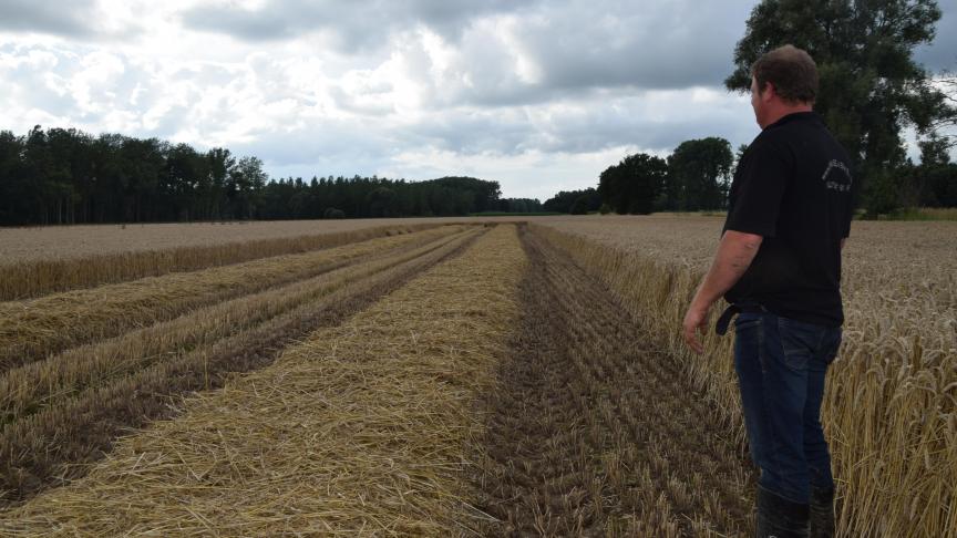 Door de plotse hevige regenval moest Geert stoppen met het oogsten van tarwe. Het is wachten tot betere omstandigheden.