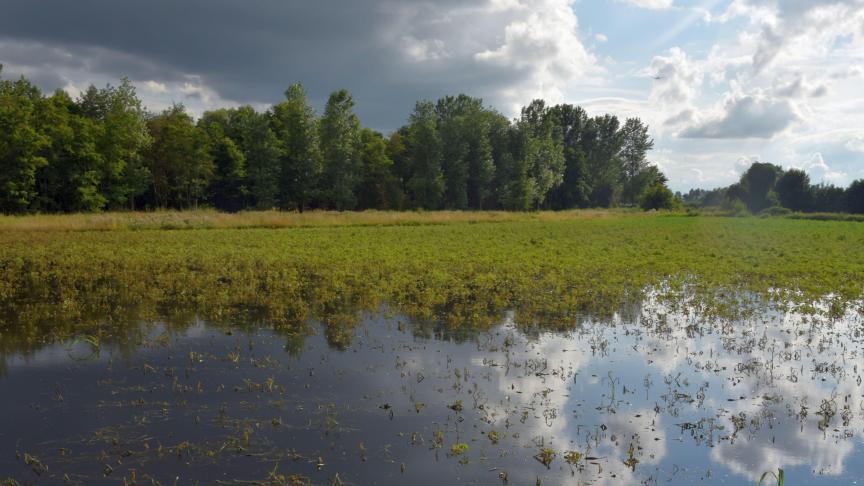 Juli 2021 liet een nieuw neerslagrecord optekenen.