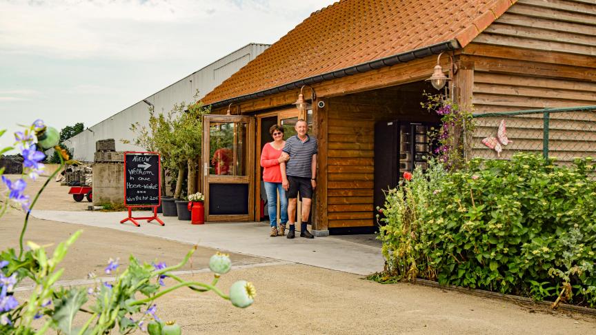 Vakantiewoningen, de productie van hoeve-ijs, een hoevewinkel en automaten, voorzieningen voor teambuildings en vergaderingen… het kan allemaal bij De Bouwhoeve.