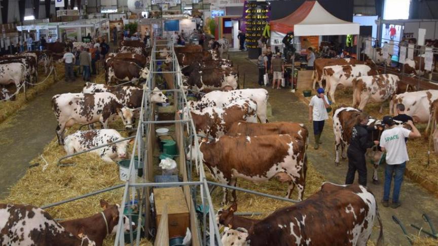 Er zijn ruim 1.100 geregistreerde bedrijven, 223 exposanten nemen  voor de eerste keer deel.