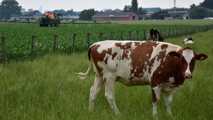 Het Vlaamse GLB steunt op 7 krachtlijnen, waarbij innovatie, samenwerking en focus op de echte (actieve) landbouwer cruciale rode draden in het geheel vormen.