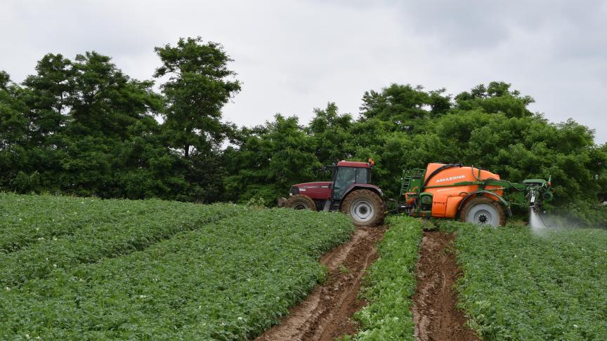 De kosten voor de gewasbescherming in aardappelen liggen dit seizoen op een historisch hoog niveau.
