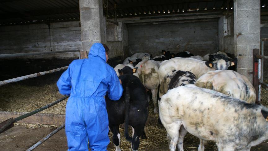 De dierenarts moet volgens Agrofront vergunde kritische antibiotica kunnen blijven gebruiken als laatste mogelijkheid om dieren te behandelen.