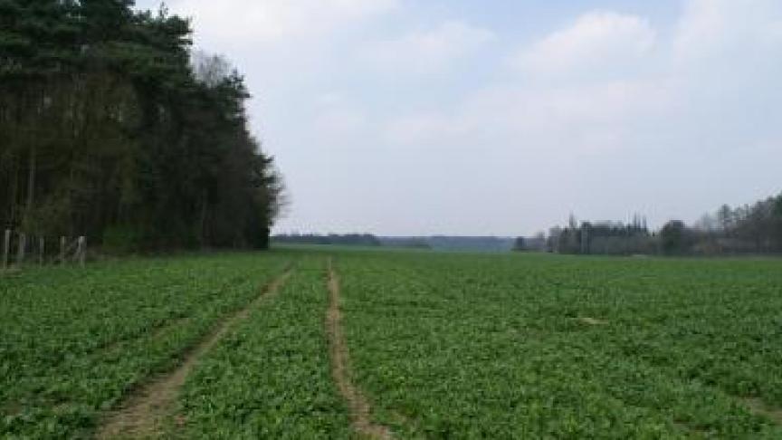 ANB koopt landbouwgrond op voor bebossing.