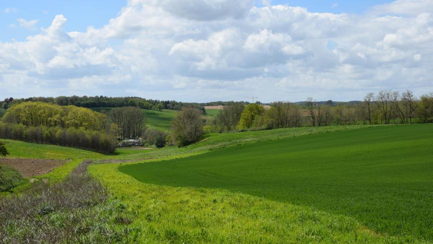 Natuurvereniging Natuurpunt ambieert een belangrijke rol in het creëren van Nationale Parken in Vlaanderen.