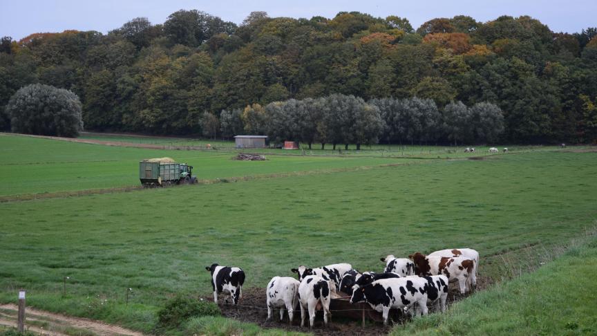 We moeten voorzichtig blijven omspringen met antiobioticagebruik, zeker ook bij dieren.