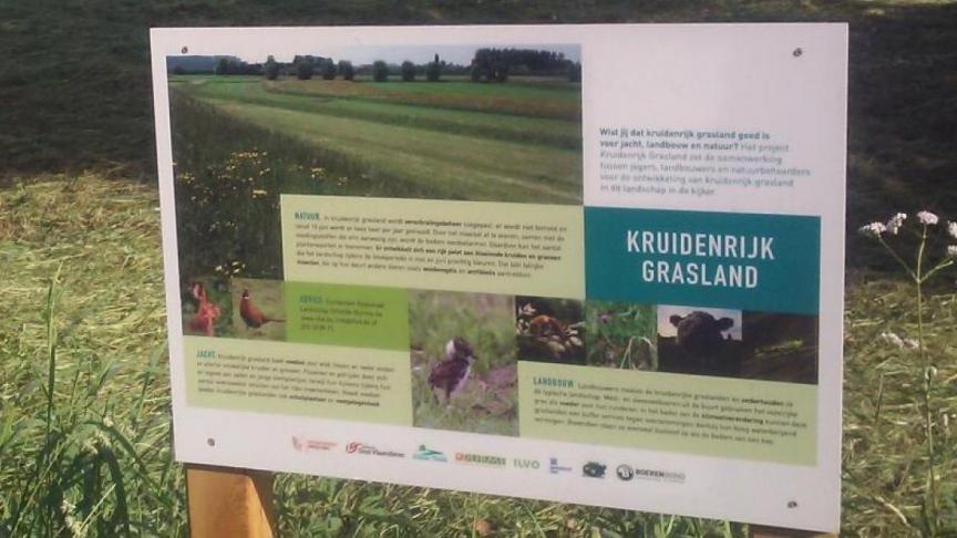 Eén van de onderwerpen waar een pre-ecoregeling kan worden aangevraagd is voor de inzaai van kruidenrijk grasland.