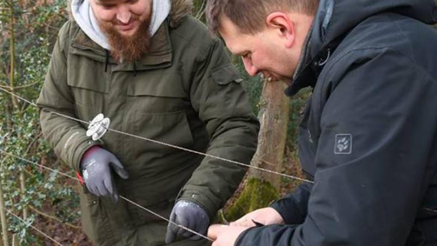 Weiden wolfproof afrasteren helpt wel degelijk.