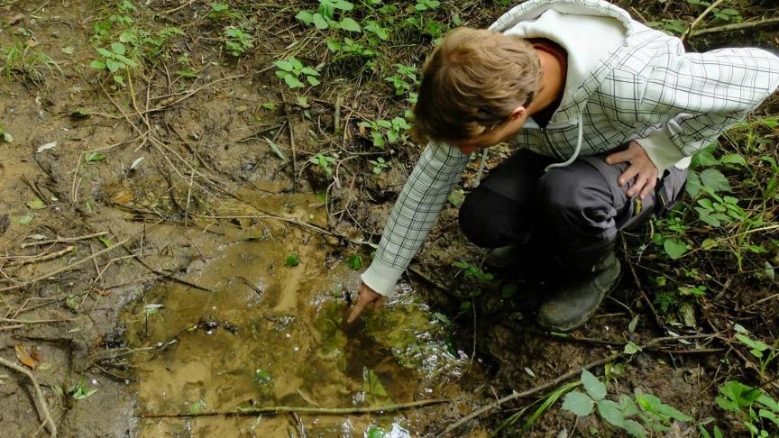 Naar schatting 5% van de 756 MAP-meetpunten oppervlaktewater wordt sterk beïnvloed door de voeding van nitraatrijk grondwater dat afkomstig is van jarenlange uitspoeling van nitraat vanuit landbouwpercelen.