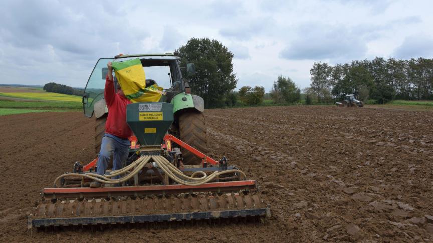 Er is een ruim aanbod groenbedekkers die na maïs gezaaid kunnen worden. Maak in functie van uw bedrijfsvoering de juiste keuze.