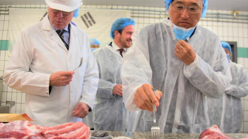 Westvlees-bedrijfsleider Joris Claeys laat de Zuid-Koreaanse ambassadeur Z.E. Soongu Yoon proeven van een lekker stukje klaargemaakt Belgisch varkensvlees.