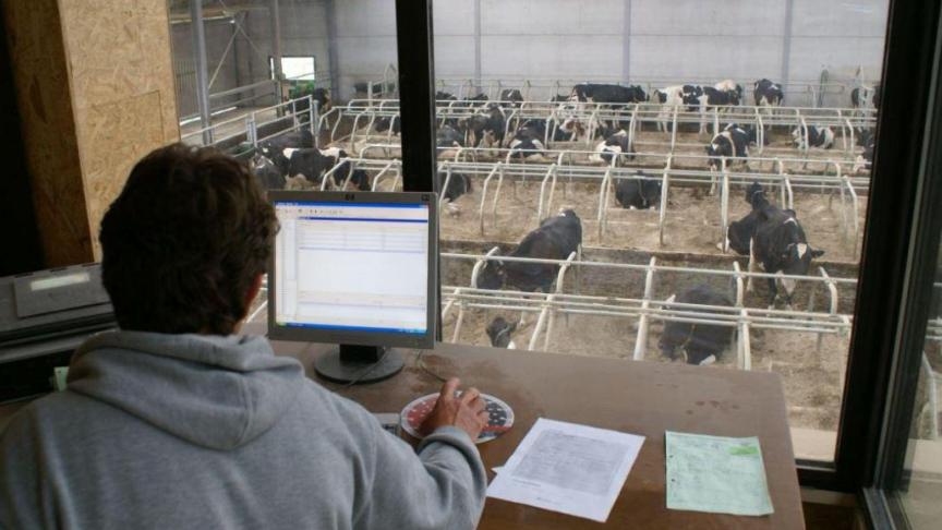 De berekening van de SBW voor de gewone landbouw gebeurt in 3 stappen:  melk, vlees en akkerbouw.