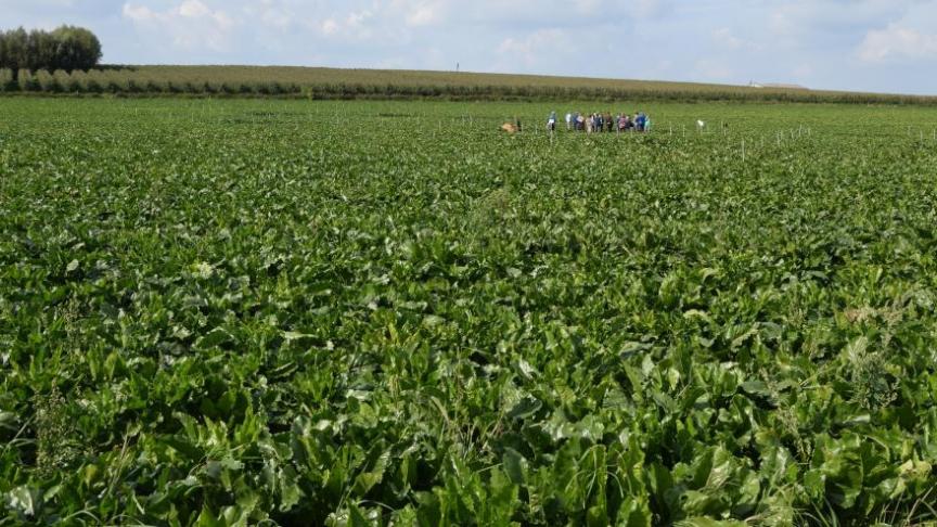 Tussen 2001 en 2020 is het aantal hectare landbouwareaal met 1,6% afgenomen.