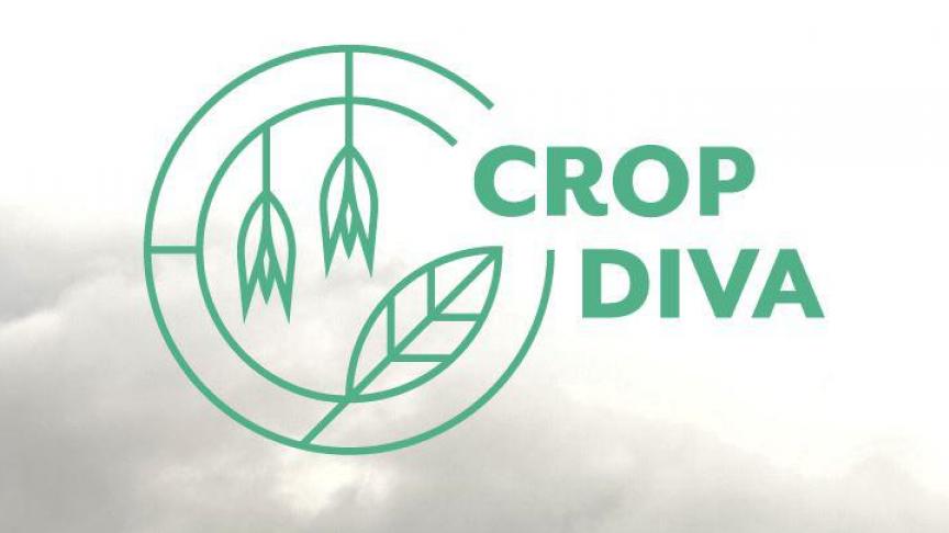 Cropdiva-project logo