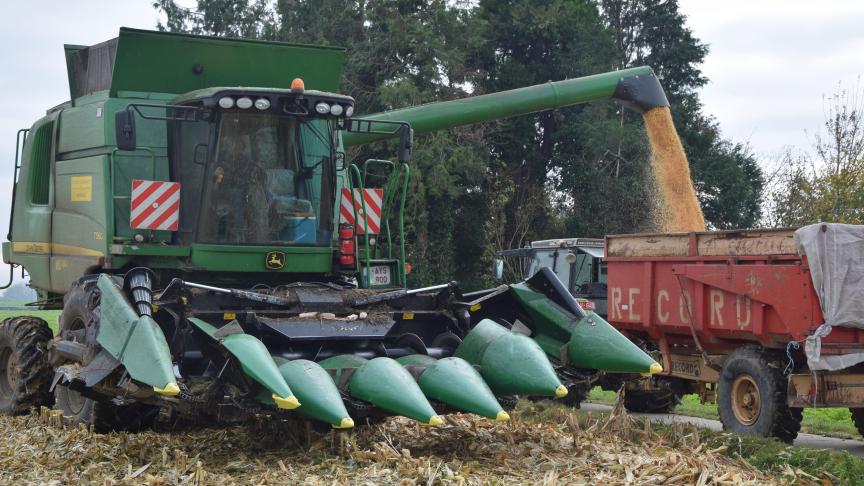 De prijzen van maïs, tarwe, gerst, sojaschroot, lijnzaad, koolzaadschroot, maar ook die van vitaminen en mineralen, schieten door het dak. Er worden dezer dagen recordprijzen genoteerd.