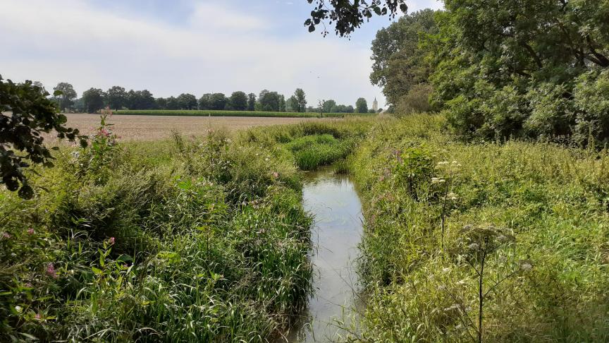 Natuurpunt vestigt in nieuwe campagne aandacht op impact van stikstof op natuur