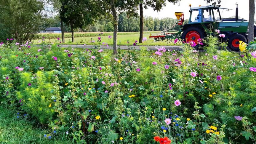 Met de groepsaankoop plantgoed wil de provincie land- en tuinbouwers stimuleren om effectief aan te planten en hen bijstaan bij hun rol als beheerder van het landbouwlandschap.