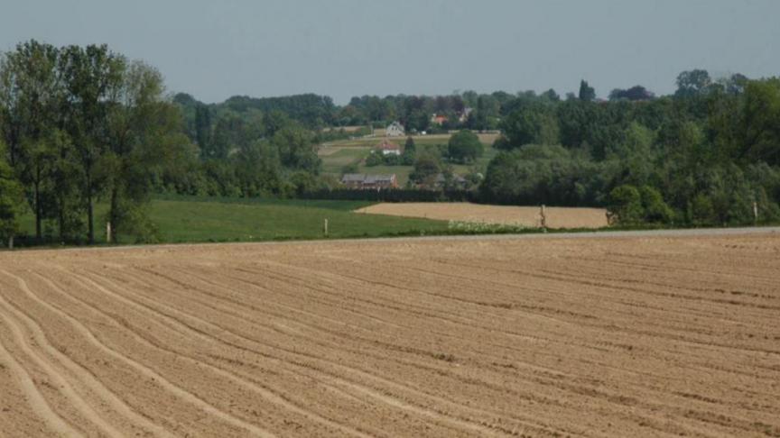 De grootschalige ruilverkaveling in Gooik in het Pajottenland is al vele jaren de inzet van verhitte discussies.