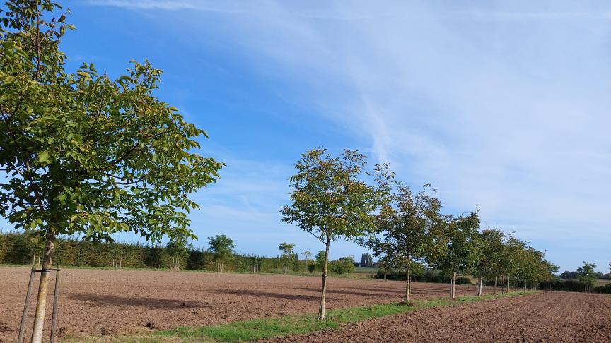 Werken aan natuurherstel kan niet afhankelijk zijn van vrijwillige initiatieven, stellen meer dan 150 milieu-nogo’s.