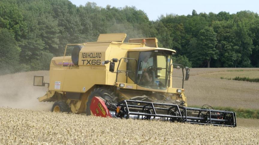 Op basis van de prijzen aan het begin van de oogst wordt verwacht dat de afzetprijzen voor granen met 26,9% zullen stijgen. Deze stijging compenseert een duidelijke daling van de productievolumes (-7,8%).