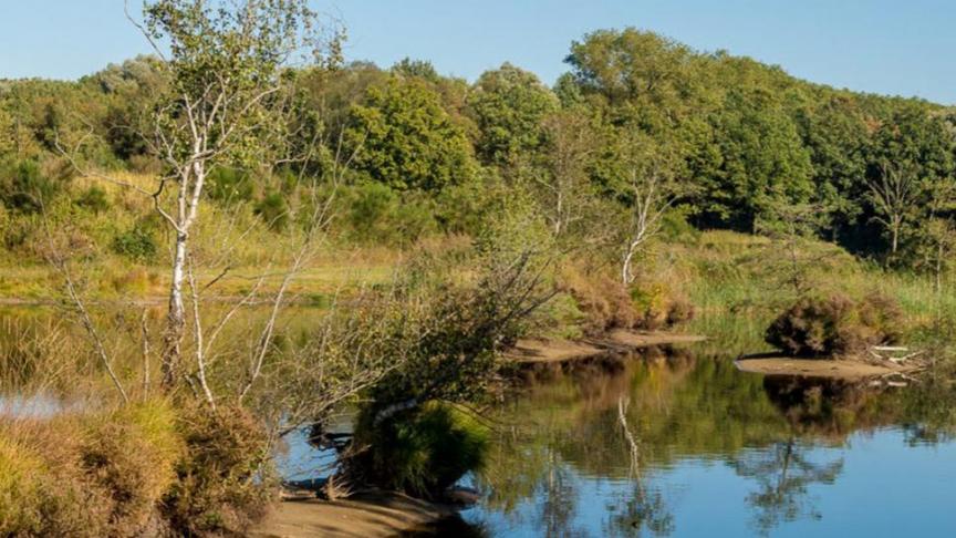 Nieuw dit jaar is dat, naast een klemtoon op Europese Natuurdoelen, een grote focus werd gelegd op natte natuur in het kader van de Blue Deal van de Vlaamse regering.
