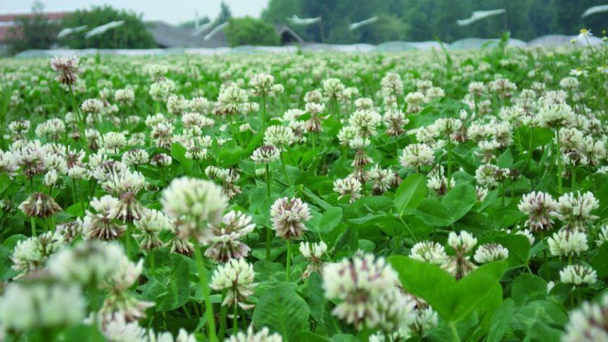 Landbouwers kunnen koolstof vastleggen in de bodem en hebben zo de perfecte positie om een positieve impact te hebben op de klimaatuitdagingen en de klimaatdoelstellingen, mits eerlijke vergoeding.