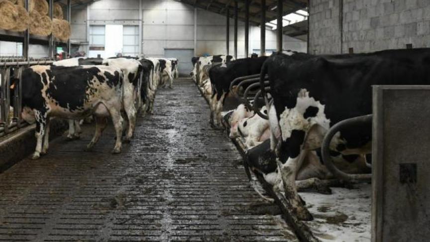 In Vlaanderen zijn ruim voldoende nutriëntenemissierechten (NER’s) beschikbaar. Die bepalen hoeveel dieren de landbouwers kunnen houden. Uit het Mestrapport blijkt dat 21% van de beschikbare NER’s in 2020 niet wordt ingevuld.