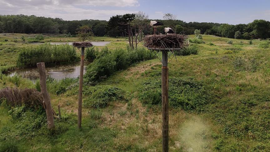 De Zwinstreek is van de kandidaten om als landschapspark erkend te worden.