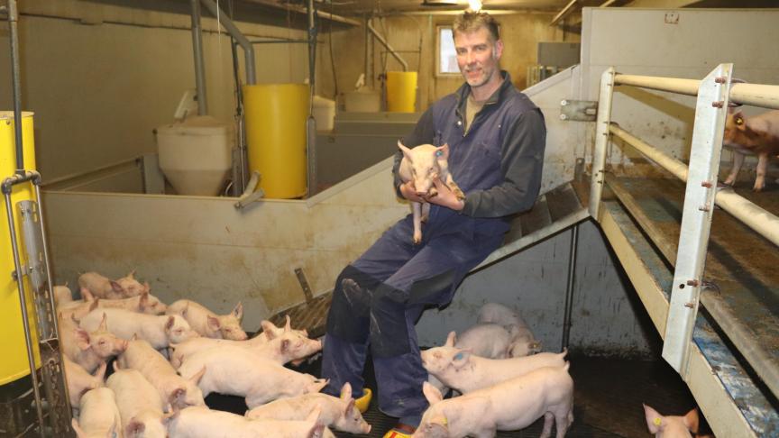 Jaco Geurts koos bewust voor een etagestal: Het levert meer vloeroppervlakte op en de dieren vinden het prettig.