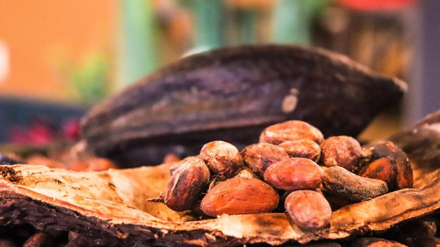 De industrie krijgt al langer het verwijt onvoldoende op te treden tegen de kinderarbeid op cacaoplantages