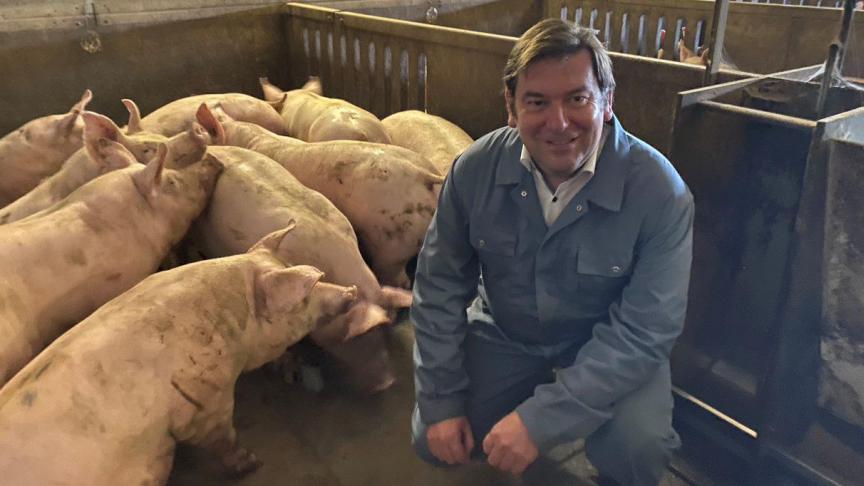 Vlaams parlementslid Bart Dochy, tussen de varkens:  Waarom krijgen onze Vlaamse varkenshouders zo weinig voor hun topproducten?