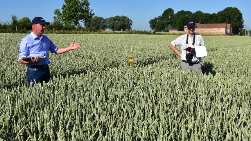 Minder gebruik van gewasbeschermingsmiddelen kan, volgens het WUR-onderzoek, leiden tot kwaliteitsproblemen. Granen zouden vatbaarder kunnen worden voor schimmels.