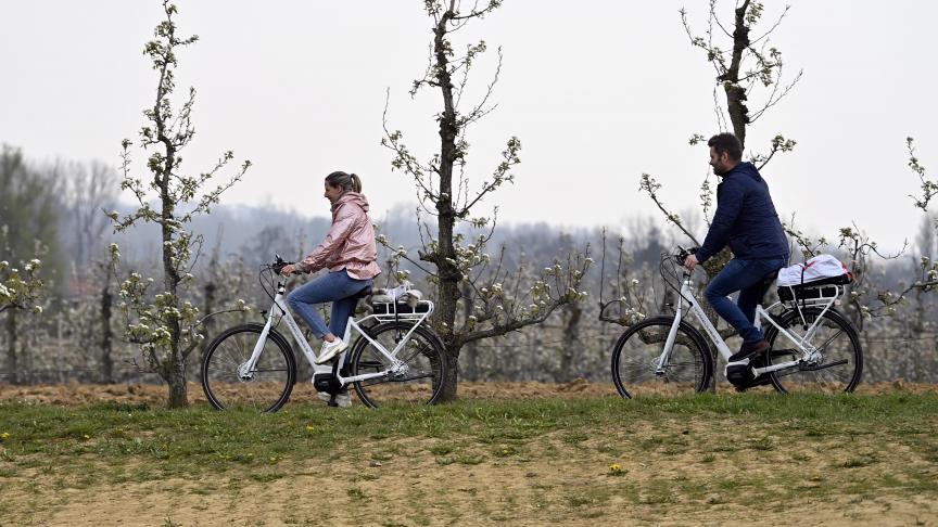 Onderweg zal je tussen de talloze boomgaarden niet alleen betoverd worden door de mooie bloesems die deze streek typeren, je zal ook van dichtbij kennismaken met verschillende landbouwbedrijven uit de regio.