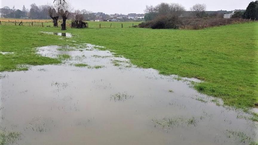 Per regio houdt ILVO een ‘landbouwatelier’ om ervaren telers samen te laten vertellen over de effecten van een wijzigend peil, en over goede praktijken.