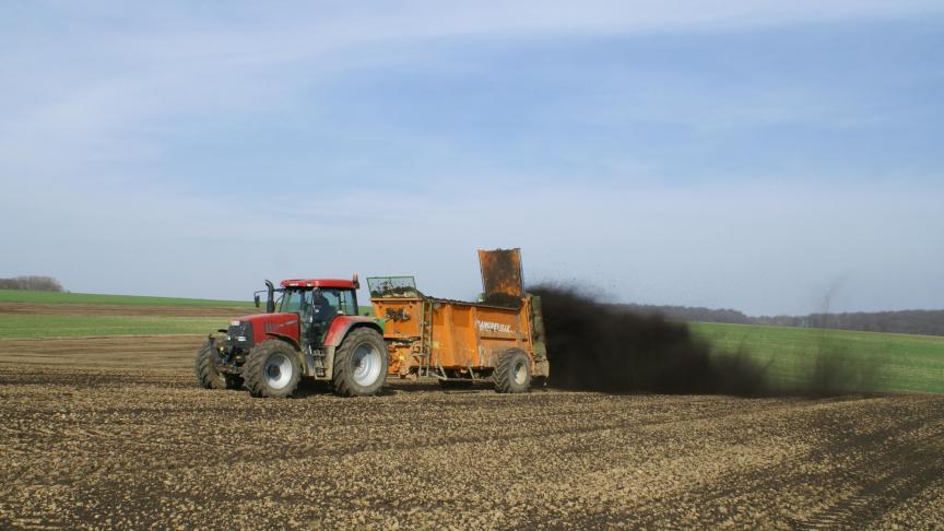 Om de 3 jaar 15 ton/ha compost op een perceel toedienen is een mooie dosis. Je vermijdt een te hoog zoutgehalte en komt niet in de problemen met de mestafzetruimte.