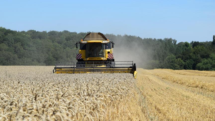 De Europese Commissie werkt aan een pakket maatregelen om de impact van de oorlog in Oekraïne op de landbouw en de voedselbevoorrading op te vangen.