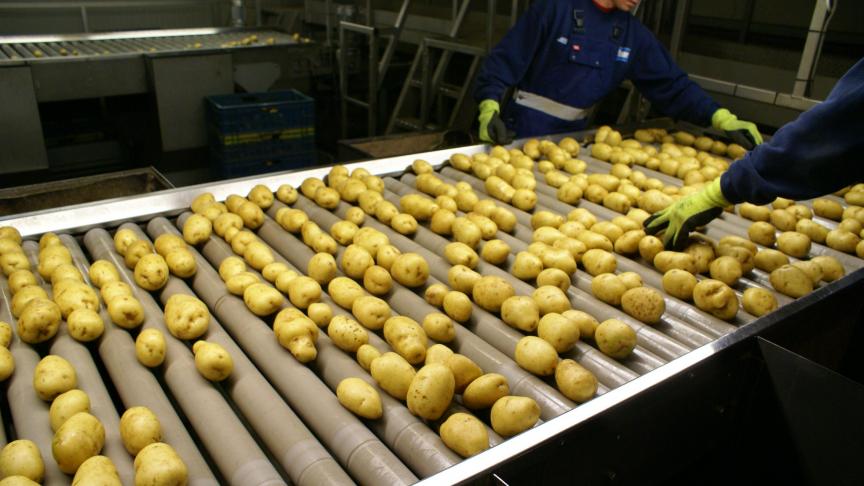 De volledige aardappelketen kent hoge productiekosten.