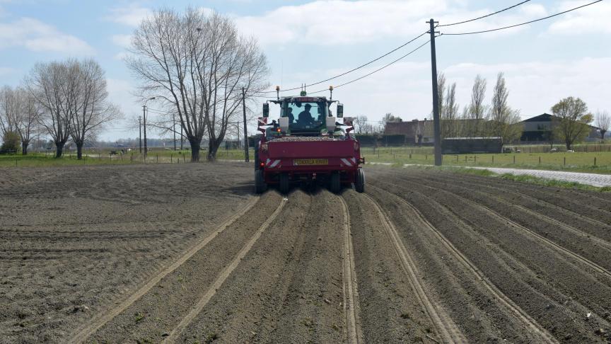 planten aardappelen 2_JeroenMorel (3)