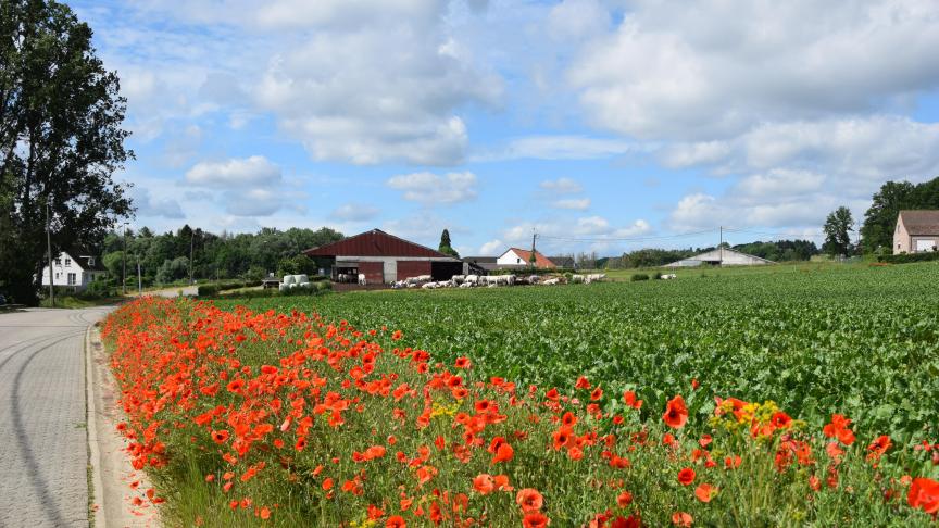 De meerwaarde van het platteland is te weinig bekend bij het grote publiek.