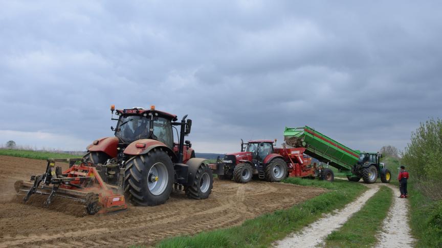 De Belgapomnotering voor Bintje gaat omhoog op vrijdag 1 april.