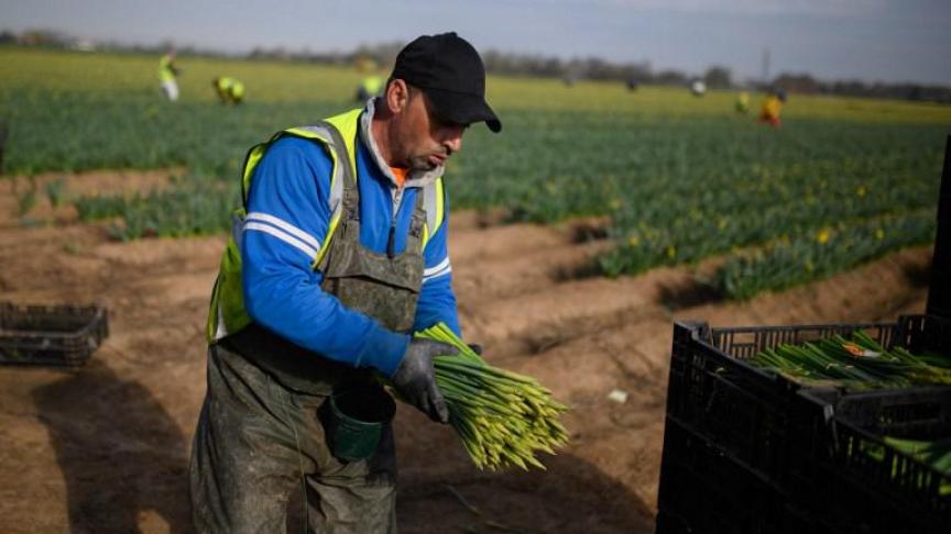 Voor heel wat werkkrachten wordt hun terugkeer naar het Verenigd Koninkrijk bemoeilijkt door de striktere visumvoorwaarden die sinds de brexit gelden. De oorlog in Oekraïne zal het probleem wellicht nog verergeren.
